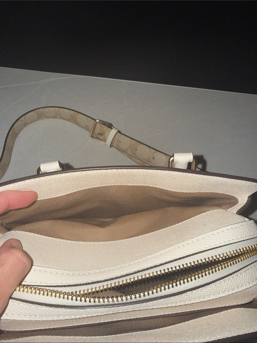 Coach Mini Darcy Carryall with Gold Hardware - Picture 4 of 11